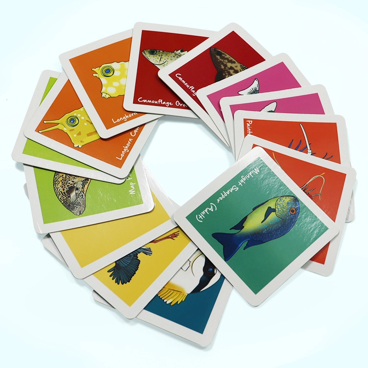 multi-colored learning cards