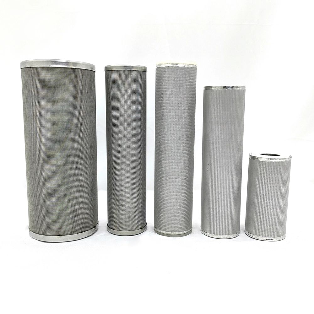 sintered stainless steel filter (1)