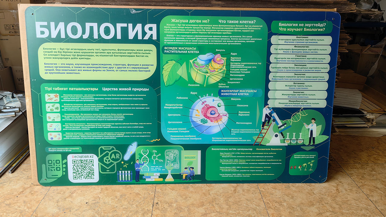 A Specialized Project for School Laboratories