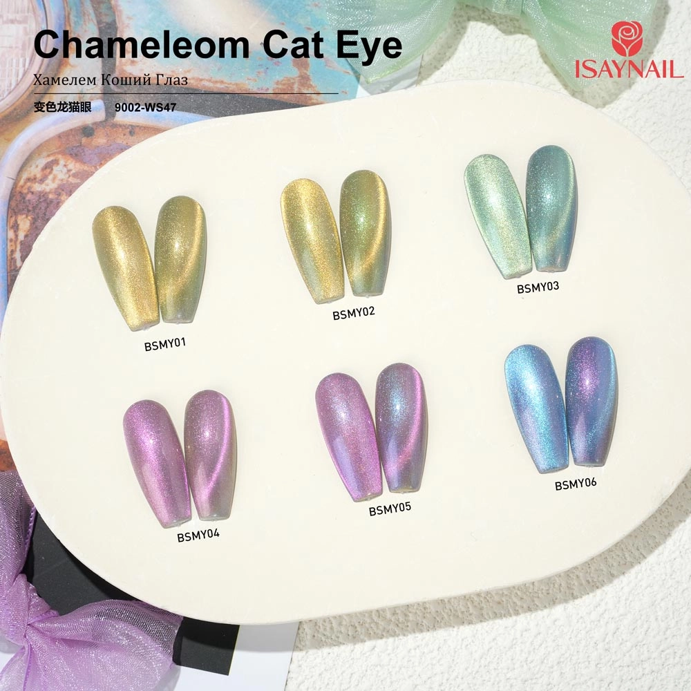 主图 (1) 主图 (1)