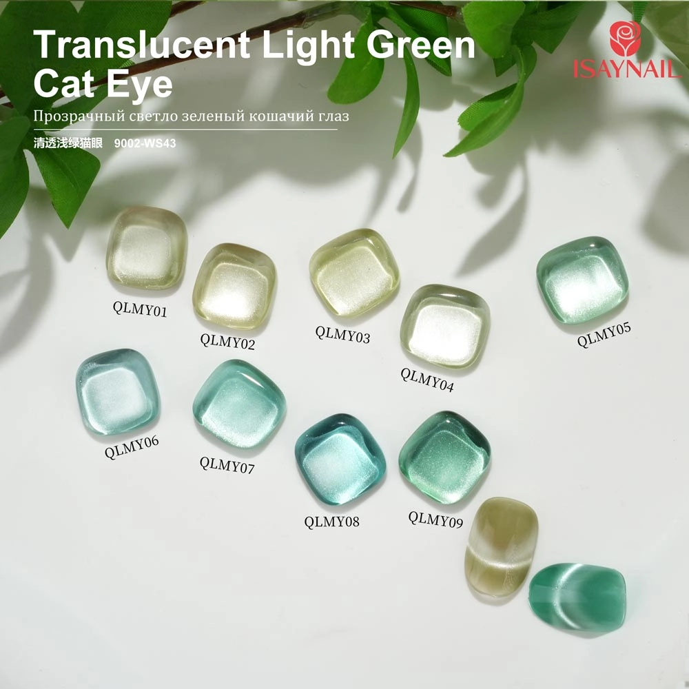 translucent light  green (3) translucent light  green (3)