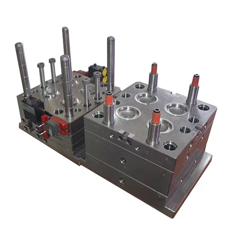 Injection mould (3) - Bost