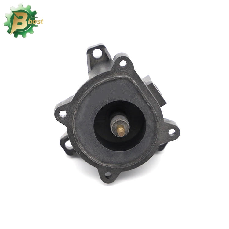 Insert molding (1) - Bost