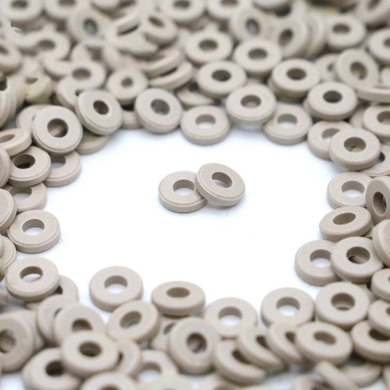 PEEK plastic Gasket - Bost