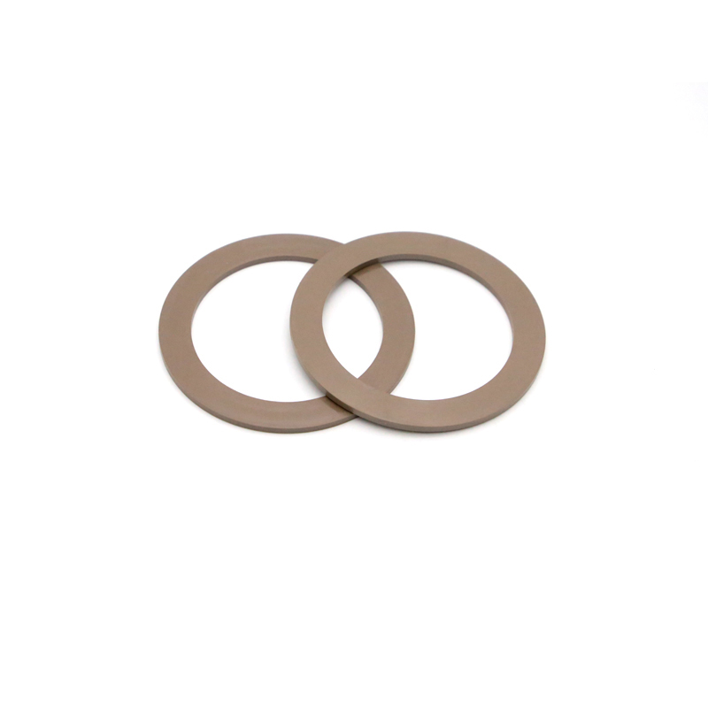PPS plastic Gasket