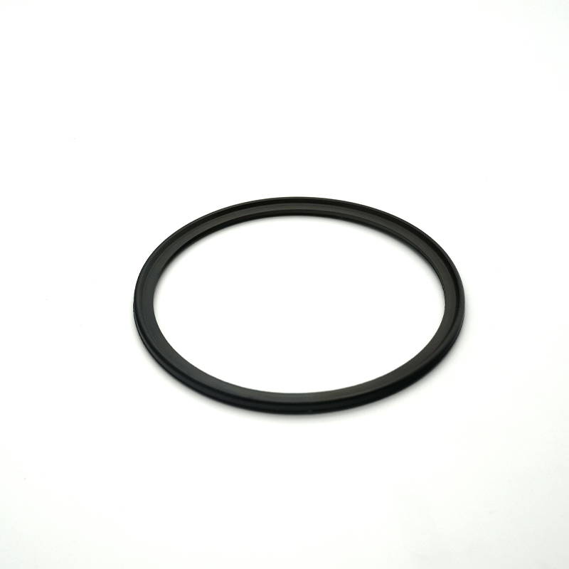 Viton rubber ring 2