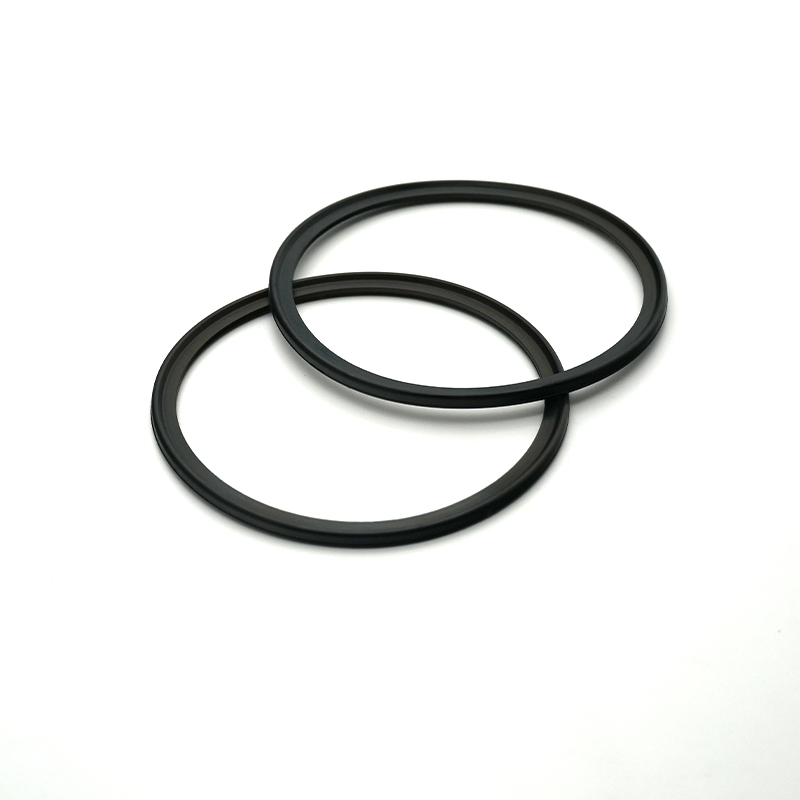 Viton rubber ring 4