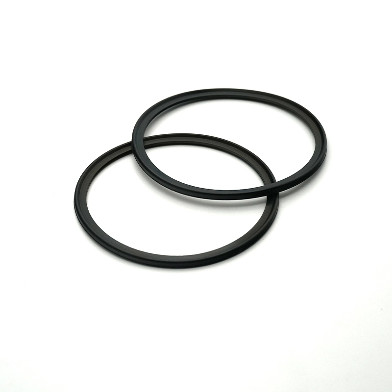 Viton rubber ring 4 - Bost