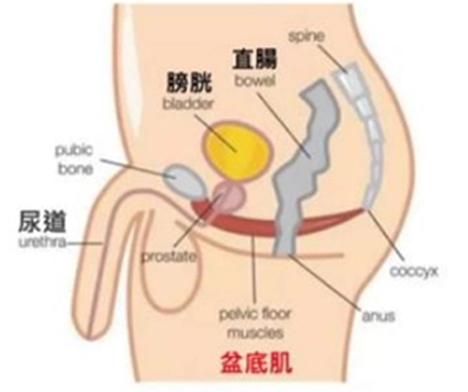 cryolipolysis-body-slimming-machine cryolipolysis body slimming machine