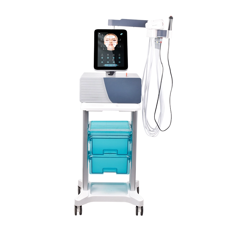 GW-F2 EMS Face Machine 1