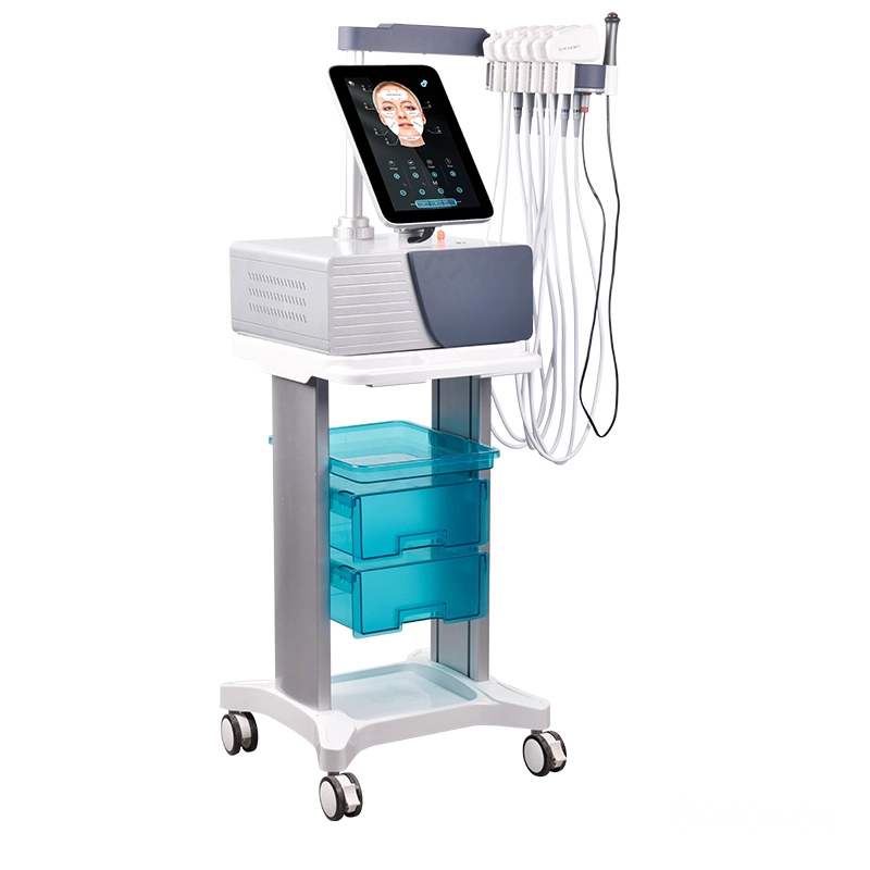 GW-F2 EMS Face Machine 2 - Goodway