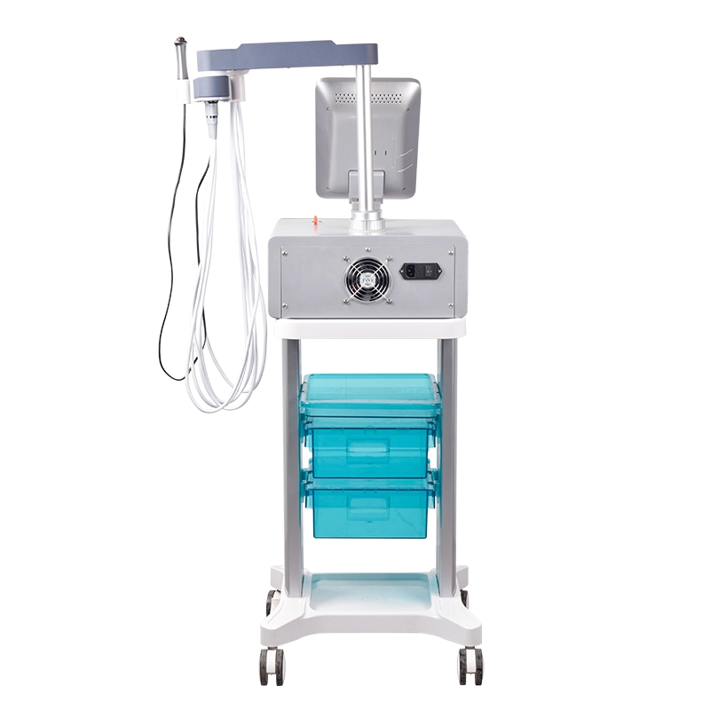 GW-F2 EMS Face Machine 5