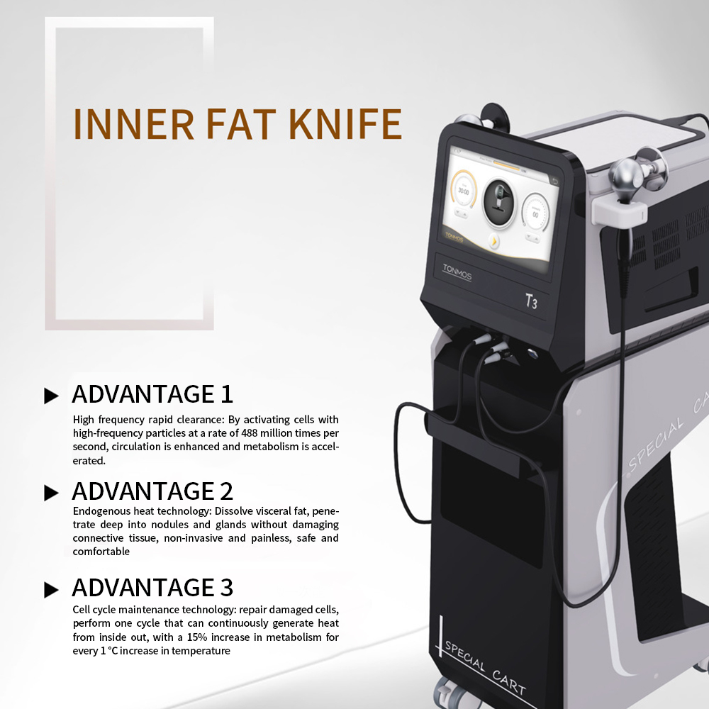 T3 Face Lifting RF Machine 9