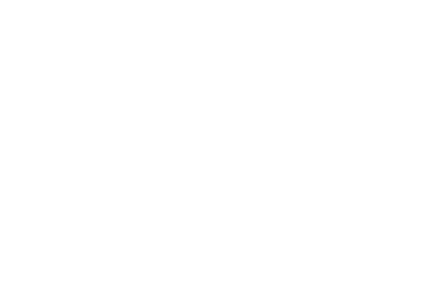 YD MAX