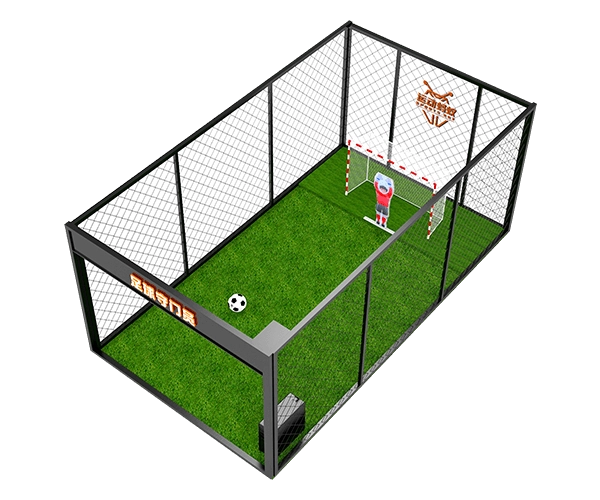 indoor socceer penalty goalie