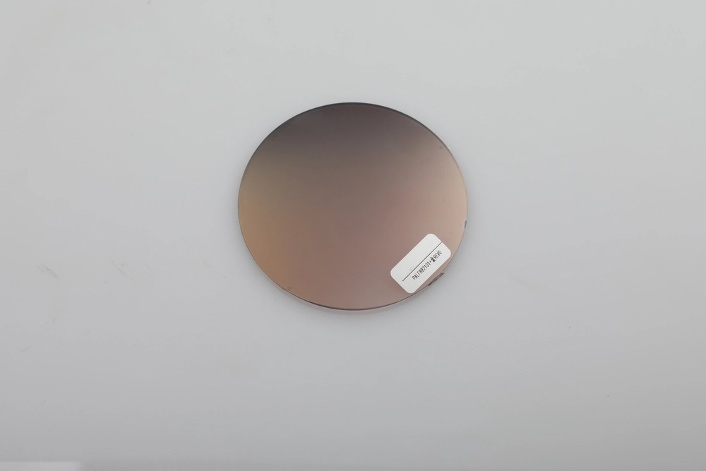 PC Coated REVO Polarized Sunglasses Lenses Gold PALFBB2101 - KARUSON