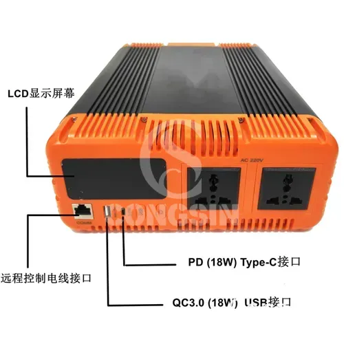 1000W Pure sine wave inverter (1) - Congsin