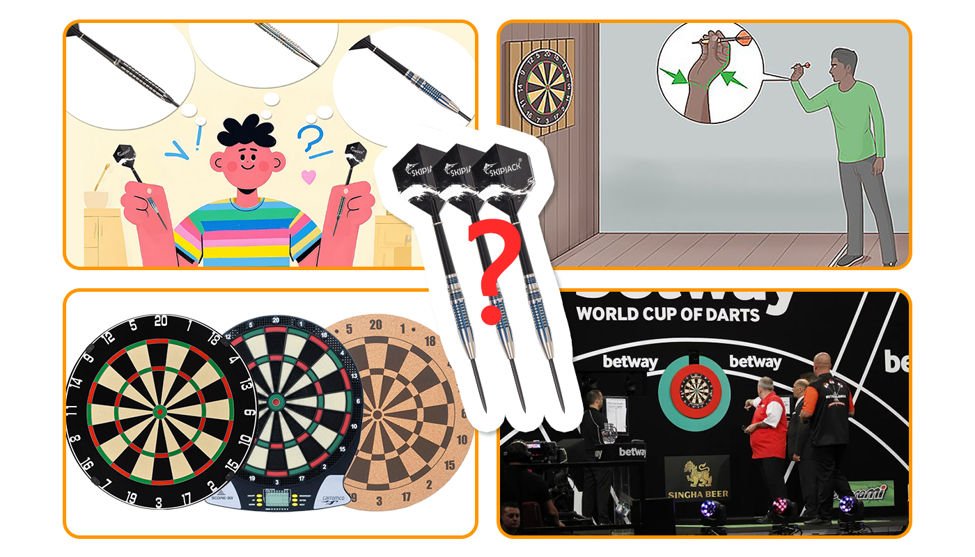 Professional darts player Professional darts player