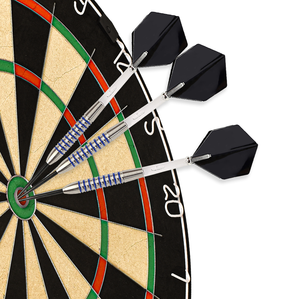 Professional Tungsten Darts