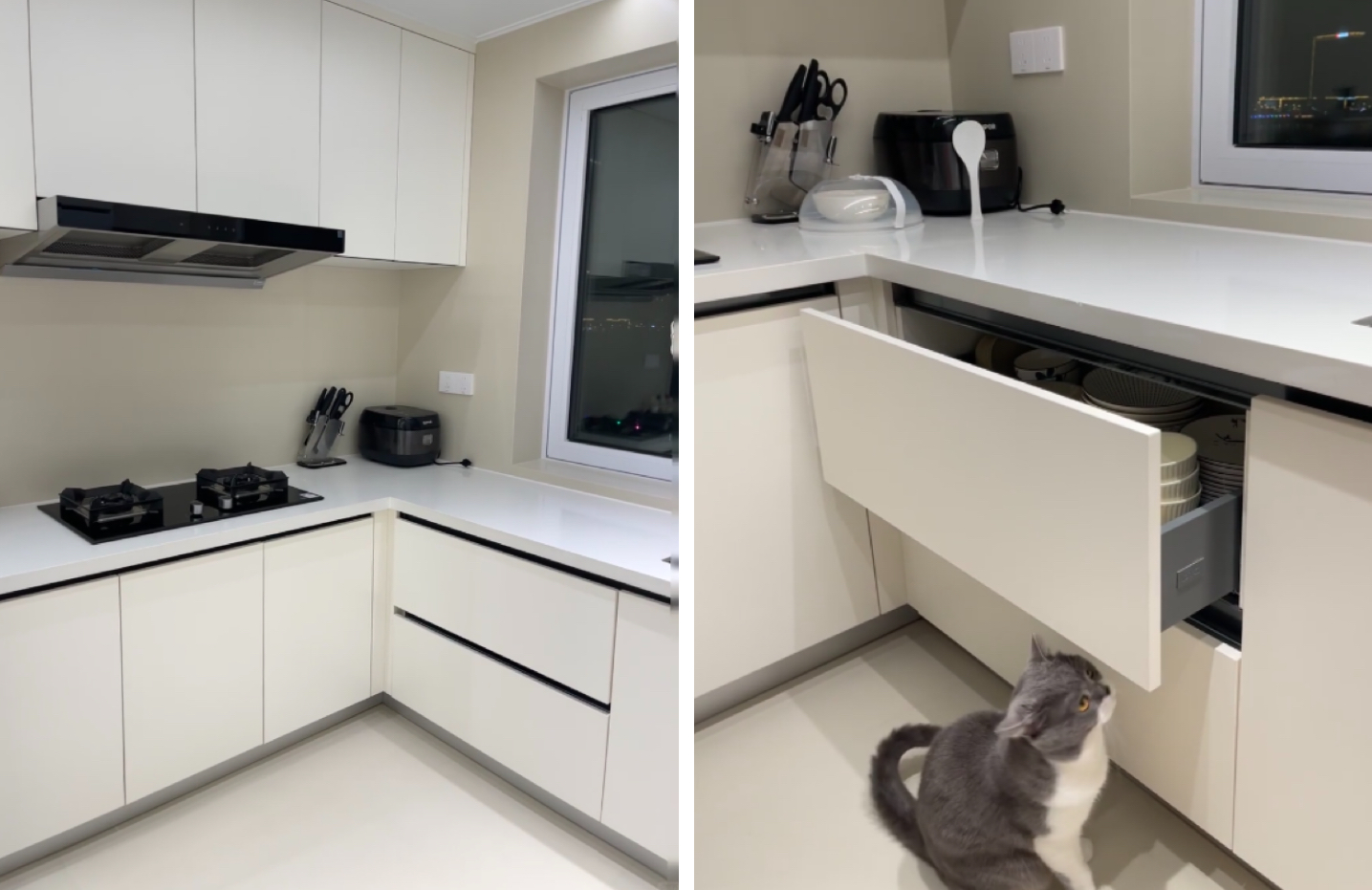 Modern minimalist white kitchen with a cat looking at a pull-out corner drawer.