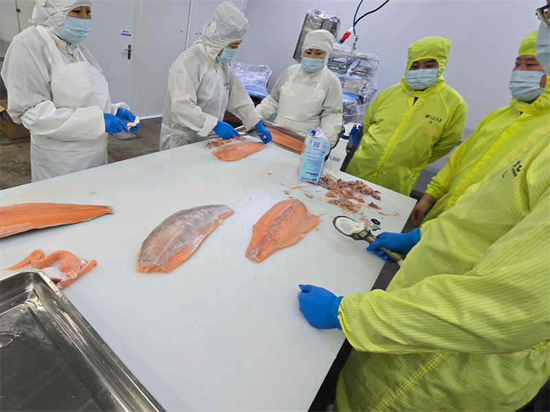 电动修整器培训 (2) - 祥九瑞盈