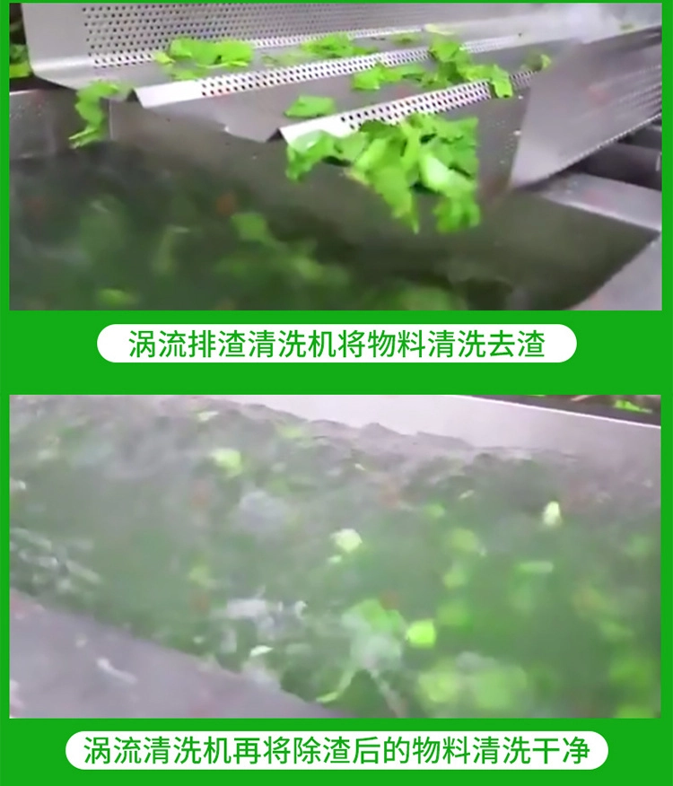 净菜加工生产线 (11) - 祥九瑞盈