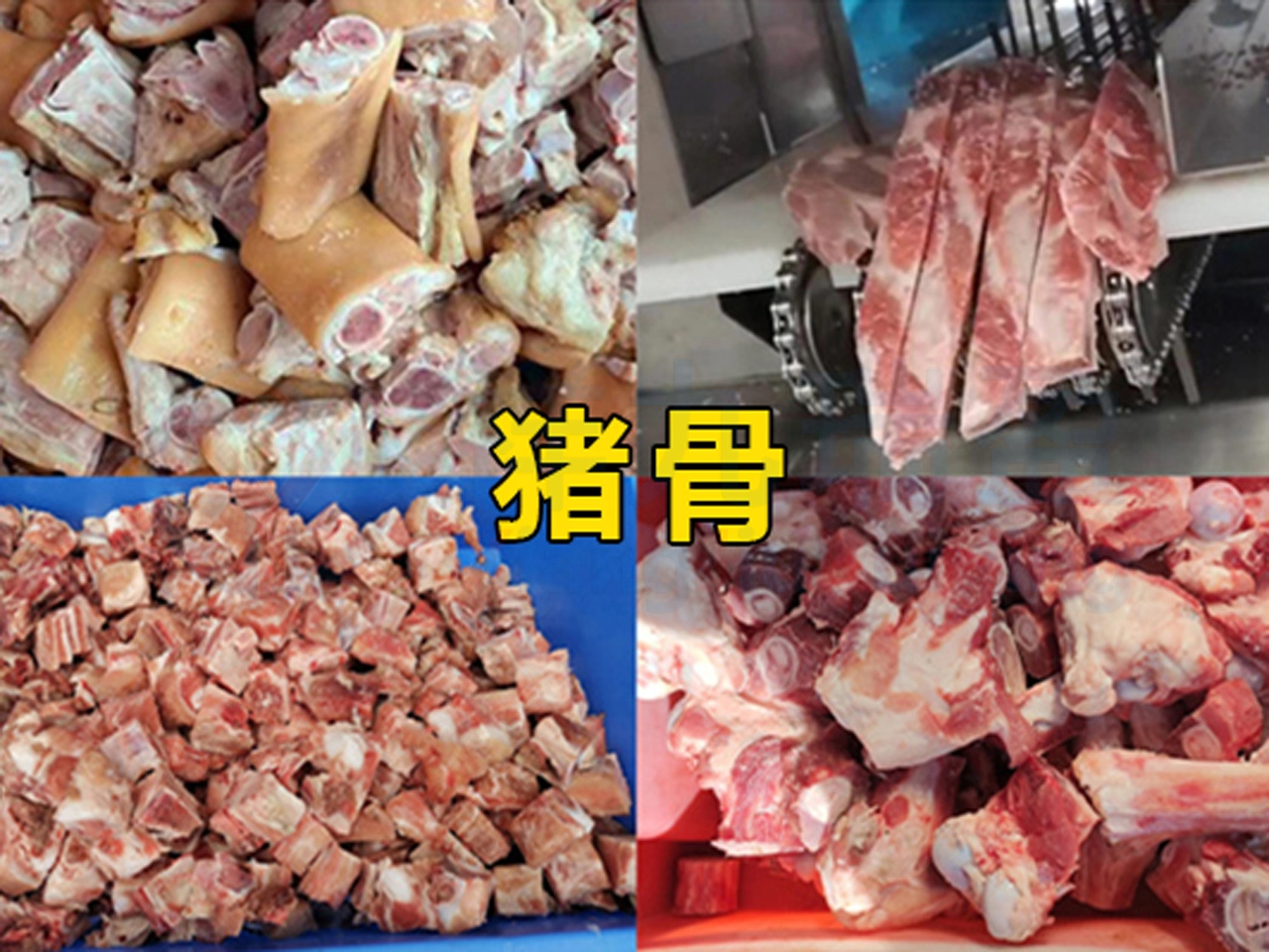 2 - 祥九瑞盈 2 - 祥九瑞盈