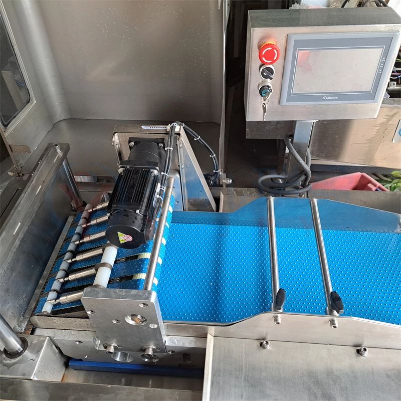 剁块机输送带 - 祥九瑞盈 剁块机输送带 - 祥九瑞盈