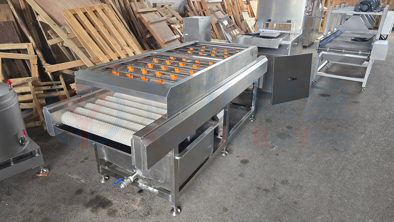 水平毛刷清洗机厂家 20250818_102512