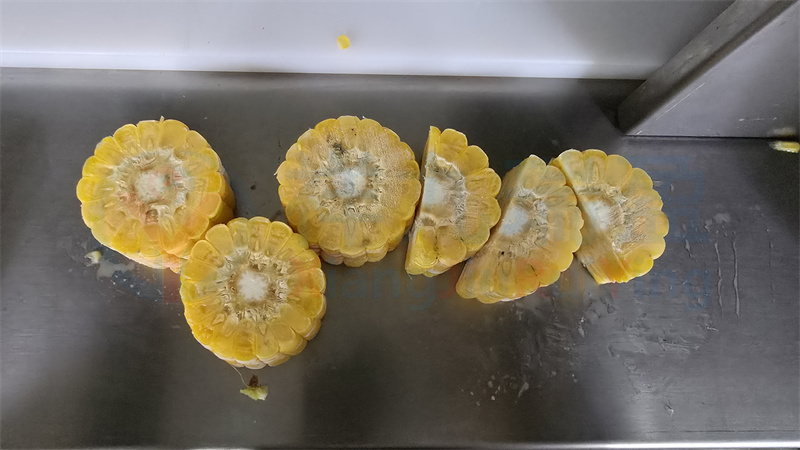 祥九瑞盈玉米切割机厂家 20250930_092445