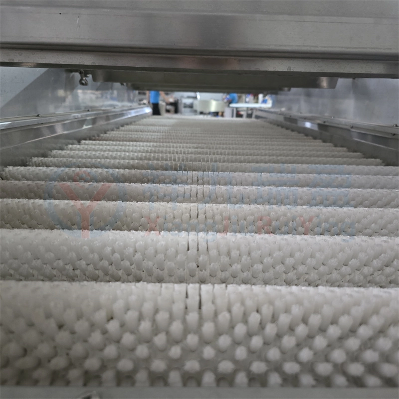 平行毛刷清洗机厂家 (4) - 祥九瑞盈 平行毛刷清洗机厂家 (4) - 祥九瑞盈