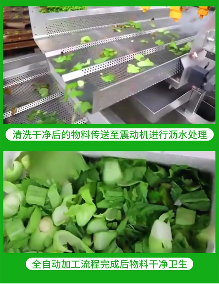 净菜加工生产线 (12) - 祥九瑞盈