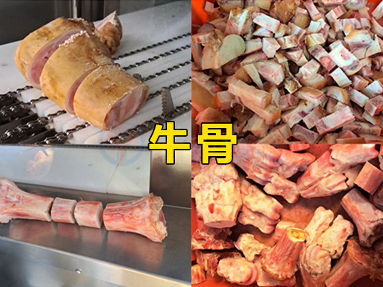 3 - 祥九瑞盈 3 - 祥九瑞盈