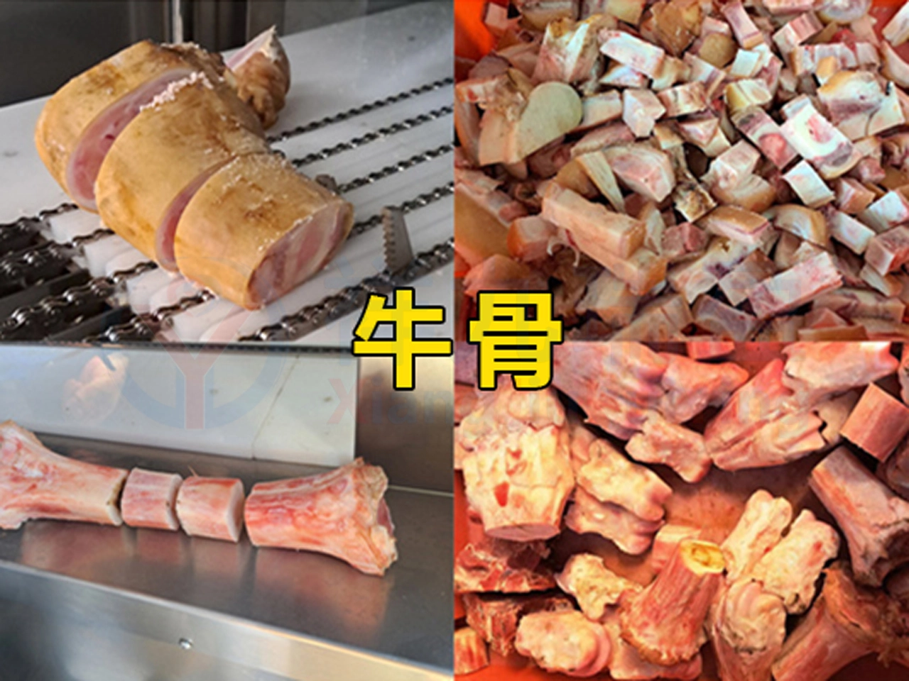 3 - 祥九瑞盈 3 - 祥九瑞盈