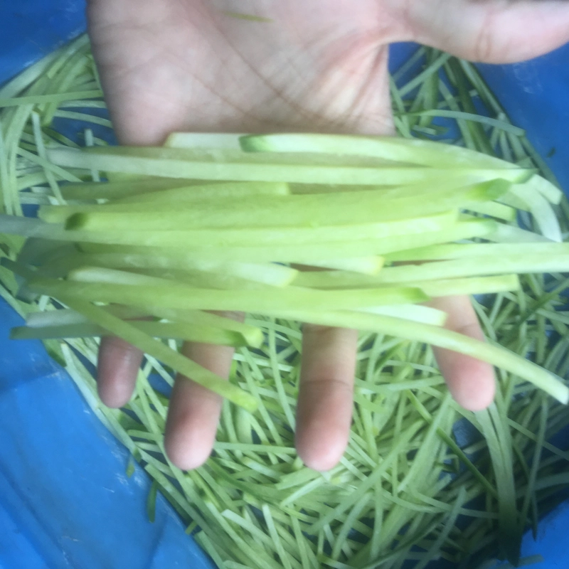 青瓜切丝 - 祥九瑞盈