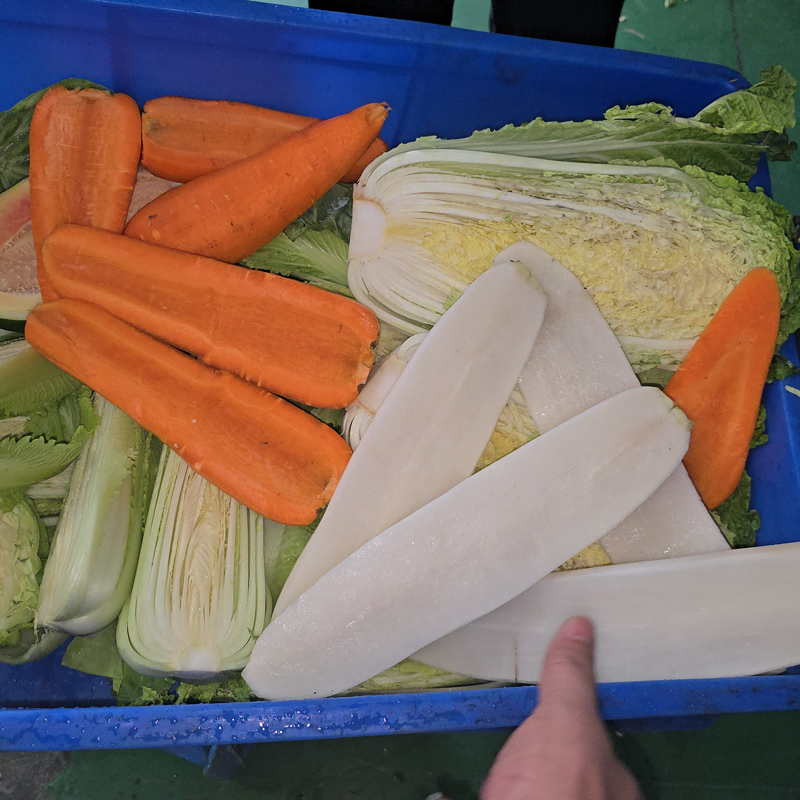 萝卜开半 - 祥九瑞盈