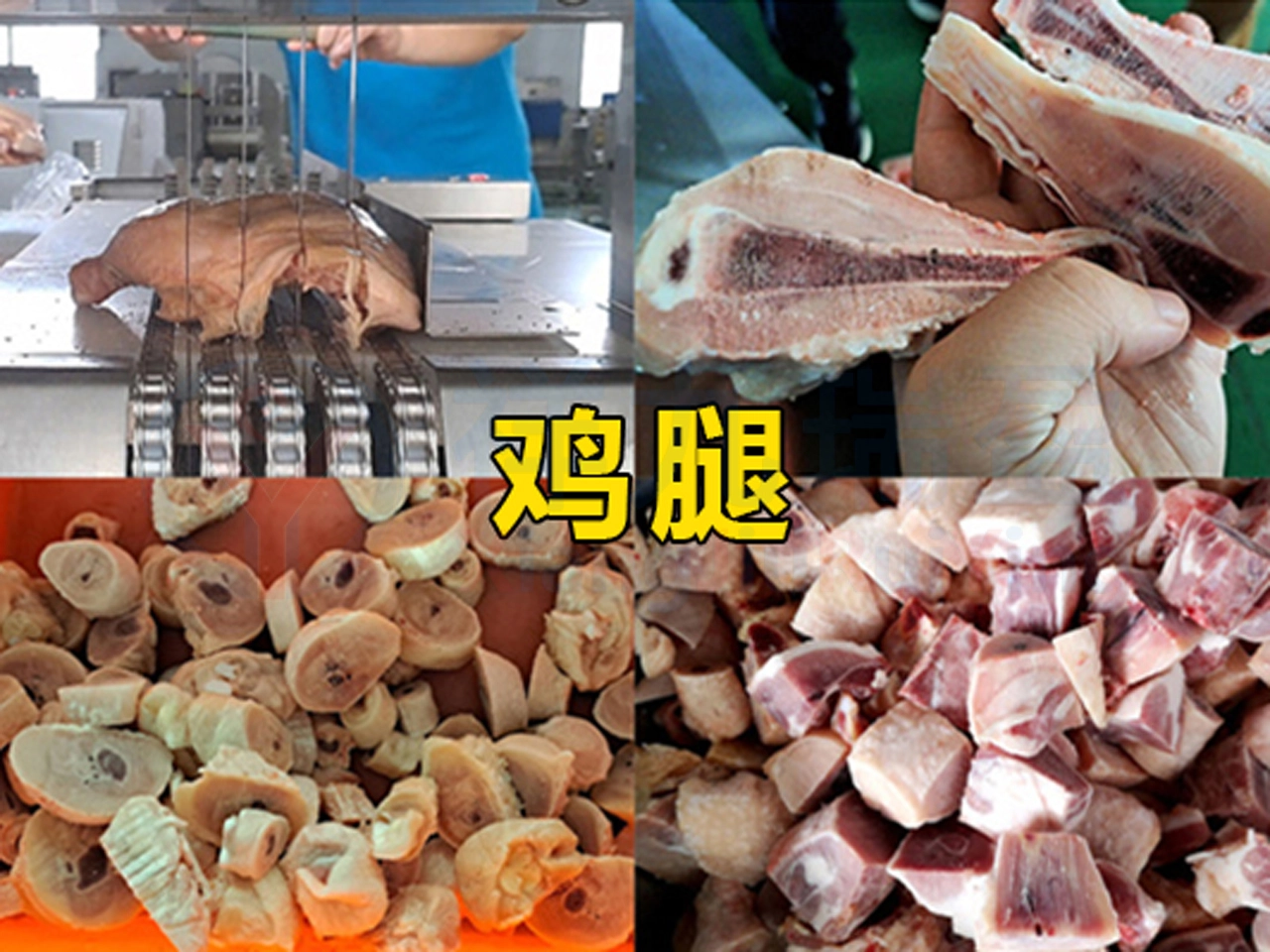 4 - 祥九瑞盈 4 - 祥九瑞盈