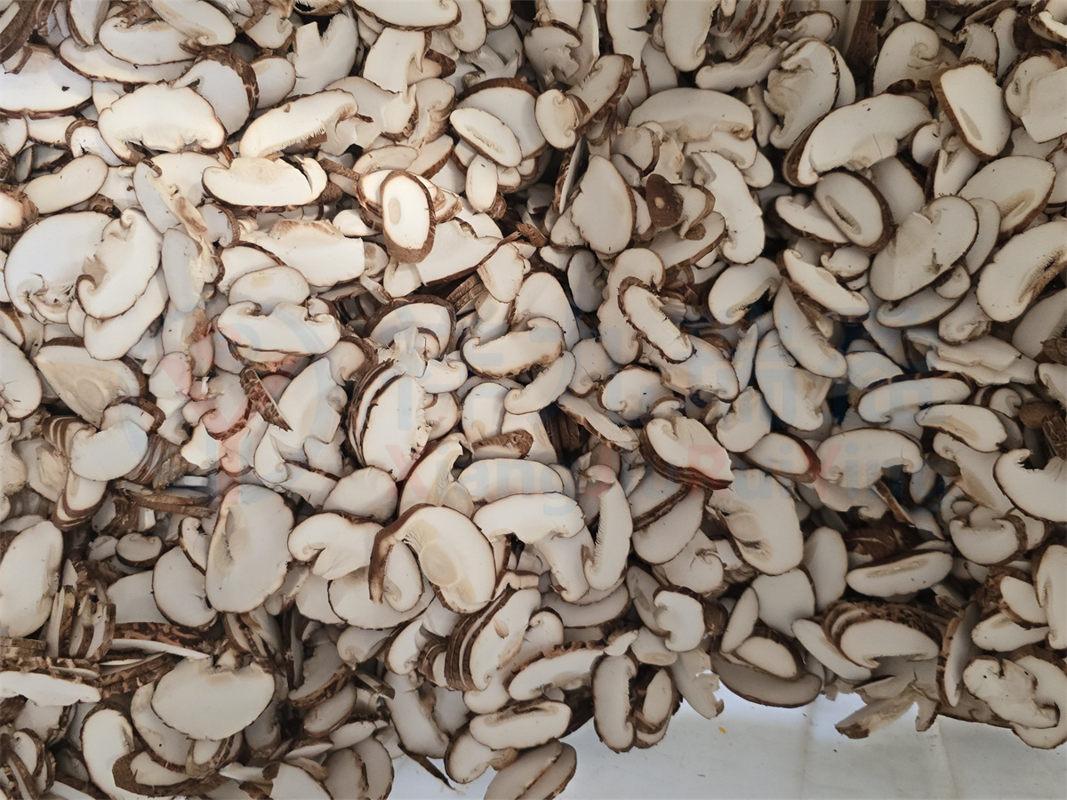 花菇切片机 花菇切片机