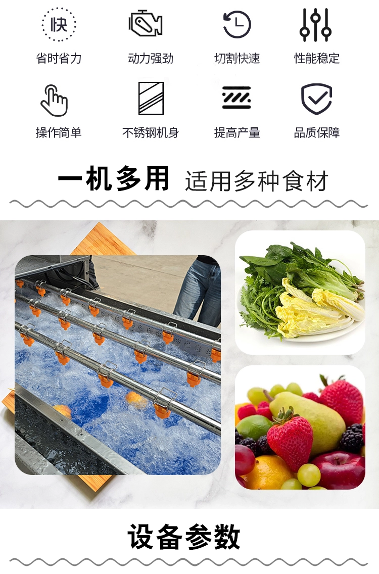 大型毛菜清洗机 (2) - 祥九瑞盈