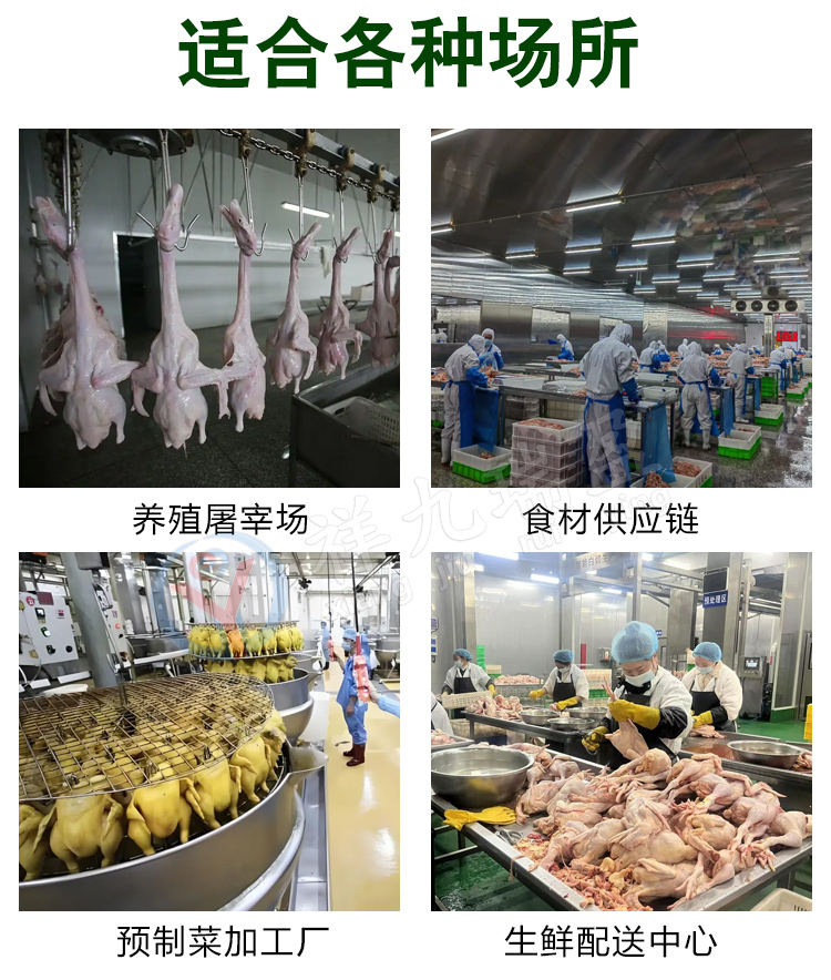 鲜鸡开半机详情页_08 - 祥九瑞盈