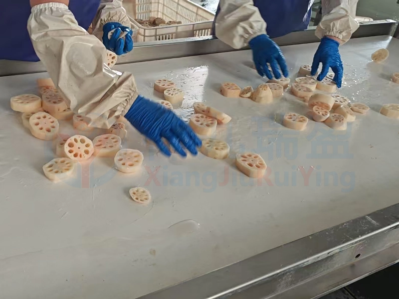 莲藕片加工 - 祥九瑞盈 莲藕片加工 - 祥九瑞盈