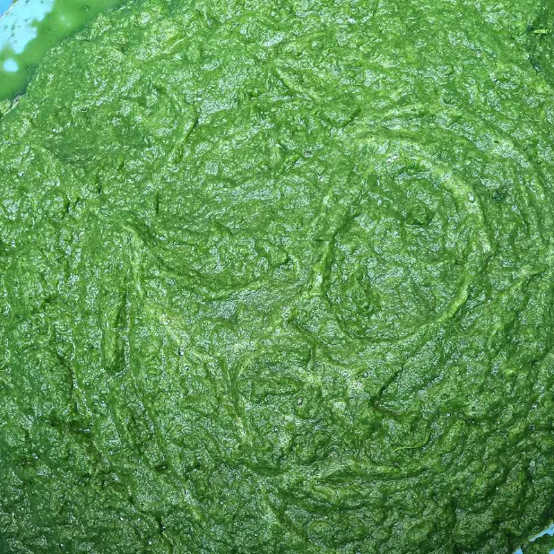 青菜打汁 - 祥九瑞盈