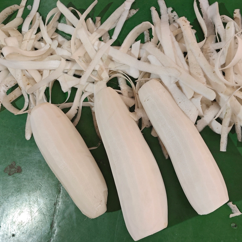 白萝卜去皮 - 祥九瑞盈 白萝卜去皮 - 祥九瑞盈