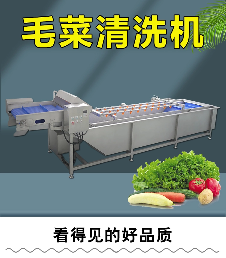 大型毛菜清洗机 (1) - 祥九瑞盈