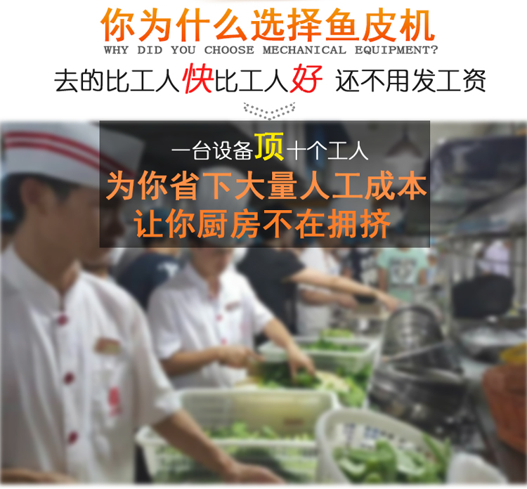 去鱼皮机 (2) - 祥九瑞盈