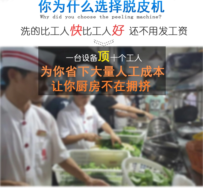 毛刷清洗机 (2) - 祥九瑞盈