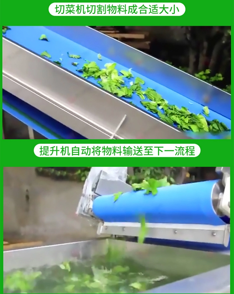 净菜加工生产线 (10) - 祥九瑞盈
