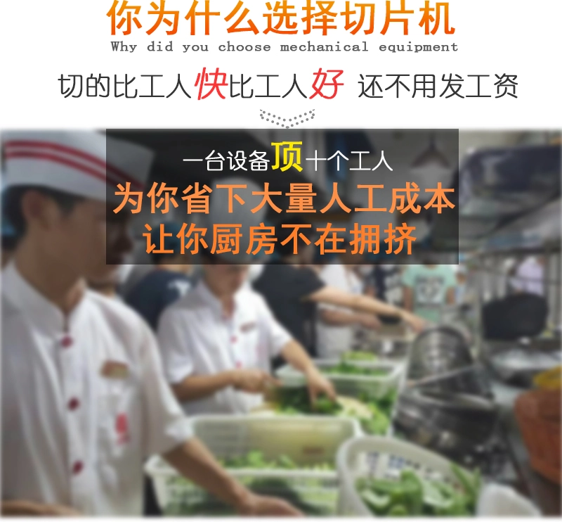 熟肉切片机    (2) - 祥九瑞盈