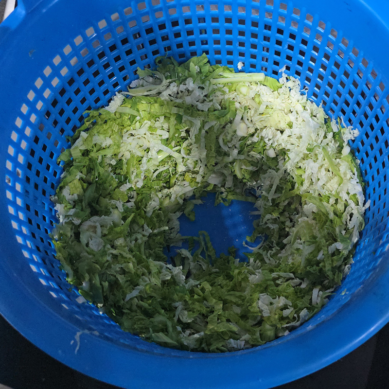 白菜脱水机 - 祥九瑞盈