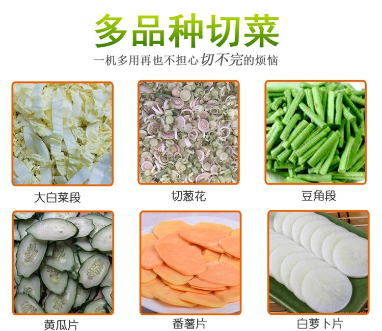 大型切菜机厂家 (3) - 祥九瑞盈
